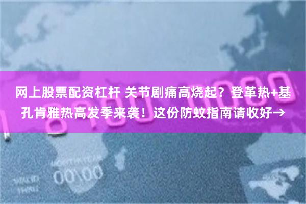 网上股票配资杠杆 关节剧痛高烧起？登革热+基孔肯雅热高发季来袭！这份防蚊指南请收好→