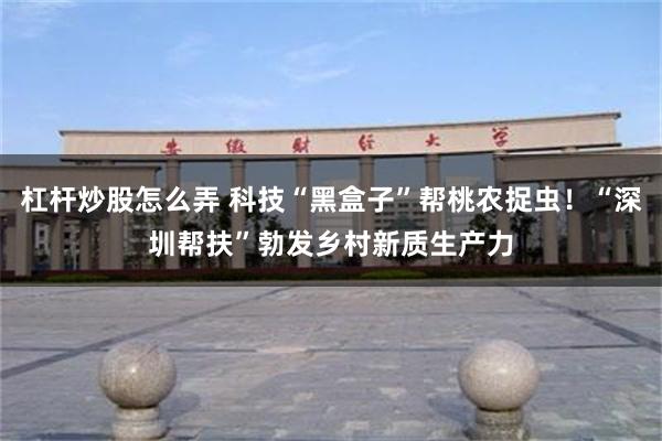 杠杆炒股怎么弄 科技“黑盒子”帮桃农捉虫！“深圳帮扶”勃发乡村新质生产力