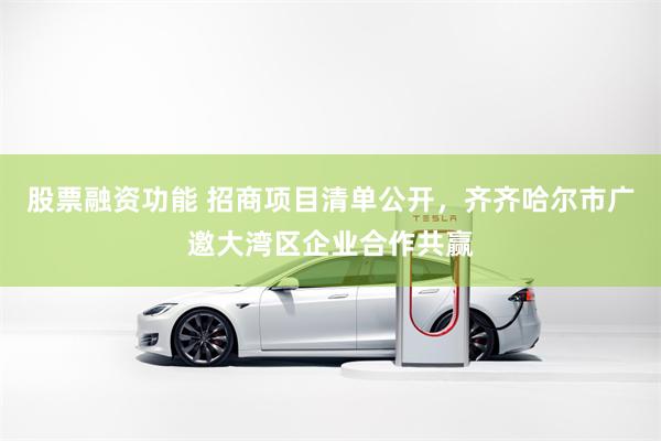 股票融资功能 招商项目清单公开，齐齐哈尔市广邀大湾区企业合作共赢