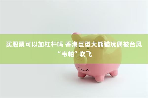 买股票可以加杠杆吗 香港巨型大熊猫玩偶被台风“韦帕”吹飞