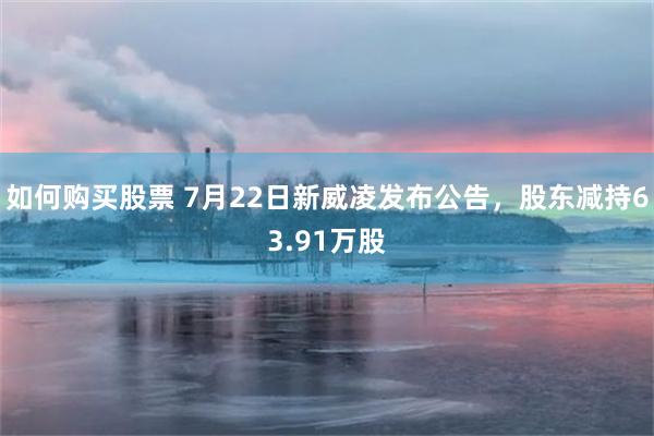 如何购买股票 7月22日新威凌发布公告，股东减持63.91万股