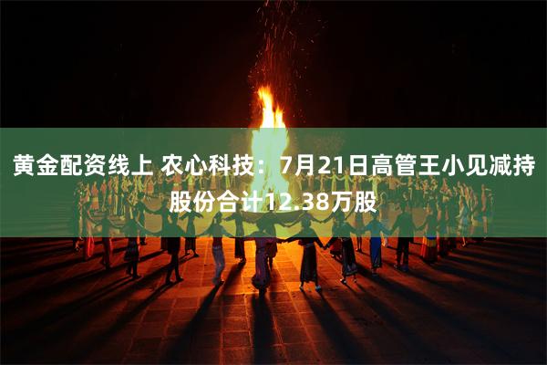 黄金配资线上 农心科技：7月21日高管王小见减持股份合计12.38万股