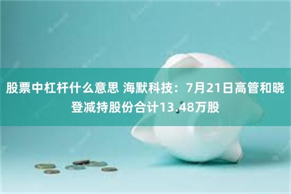 股票中杠杆什么意思 海默科技：7月21日高管和晓登减持股份合计13.48万股