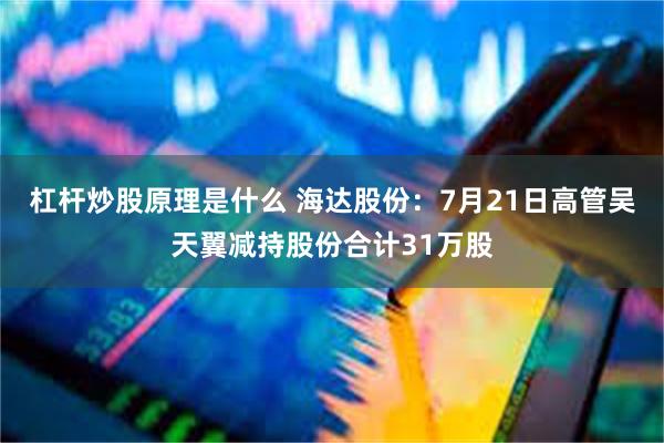 杠杆炒股原理是什么 海达股份：7月21日高管吴天翼减持股份合计31万股