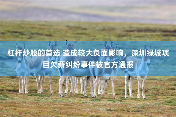 杠杆炒股的首选 造成较大负面影响，深圳绿城项目欠薪纠纷事件被官方通报