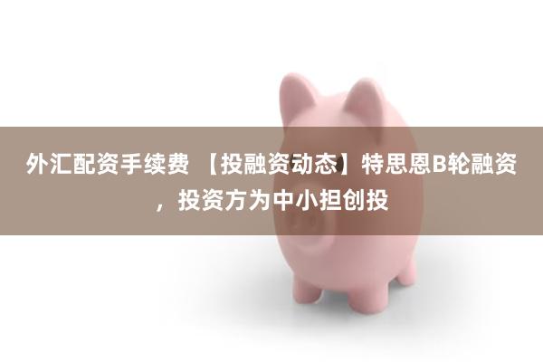 外汇配资手续费 【投融资动态】特思恩B轮融资，投资方为中小担创投