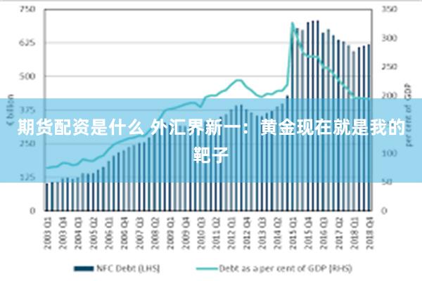 期货配资是什么 外汇界新一：黄金现在就是我的靶子