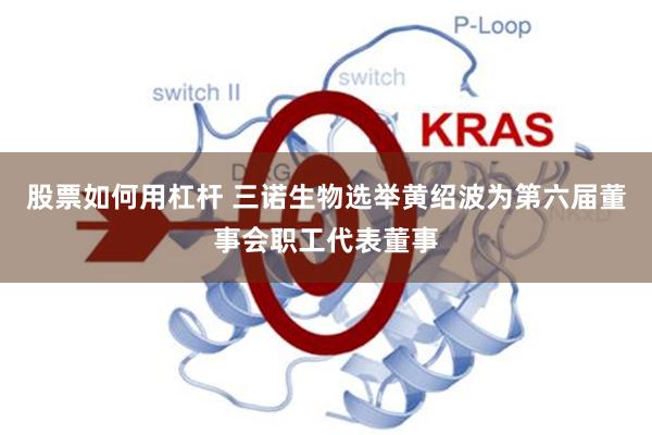 股票如何用杠杆 三诺生物选举黄绍波为第六届董事会职工代表董事