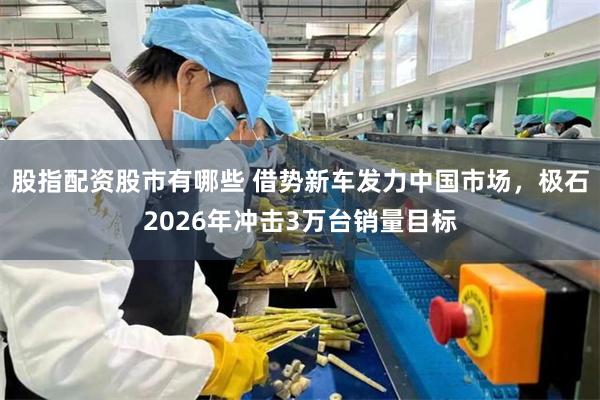 股指配资股市有哪些 借势新车发力中国市场,极石2026年冲击3万台销量目标
