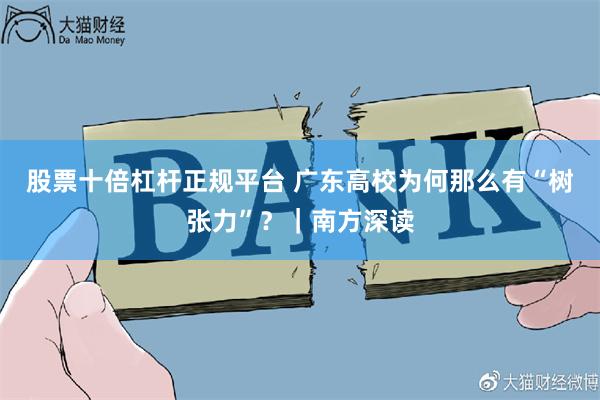 股票十倍杠杆正规平台 广东高校为何那么有“树张力”？｜南方深读