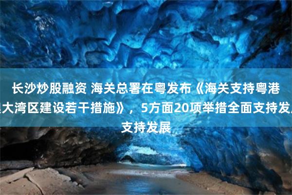 长沙炒股融资 海关总署在粤发布《海关支持粤港澳大湾区建设若干措施》,5方面20项举措全面支持发展