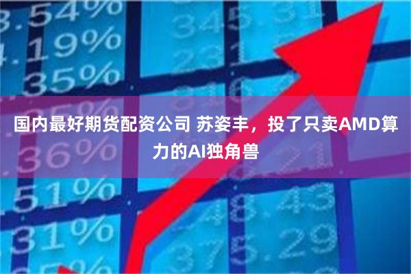 国内最好期货配资公司 苏姿丰，投了只卖AMD算力的AI独角兽