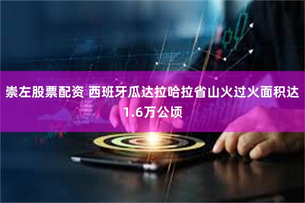 崇左股票配资 西班牙瓜达拉哈拉省山火过火面积达1.6万公顷