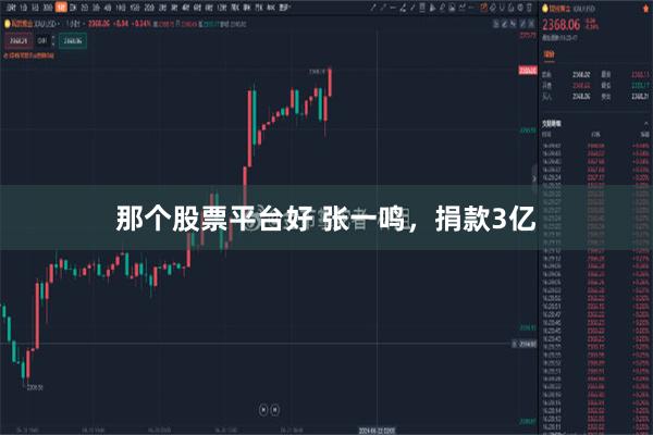 那个股票平台好 张一鸣，捐款3亿