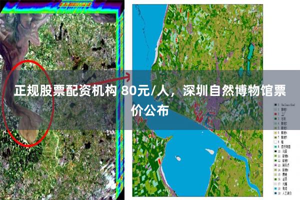 正规股票配资机构 80元/人，深圳自然博物馆票价公布