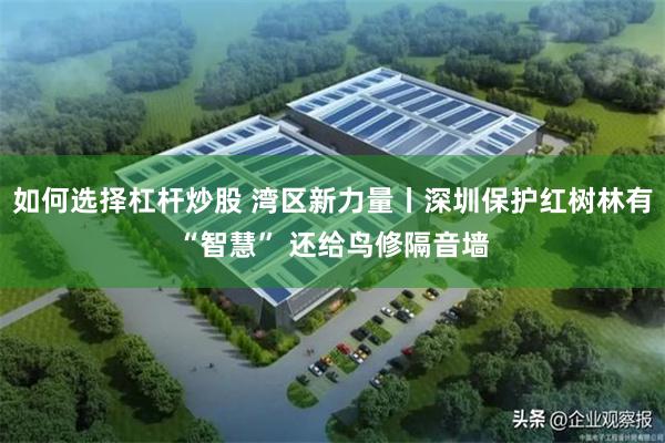 如何选择杠杆炒股 湾区新力量丨深圳保护红树林有“智慧” 还给鸟修隔音墙