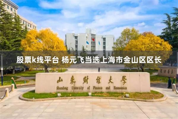 股票k线平台 杨元飞当选上海市金山区区长
