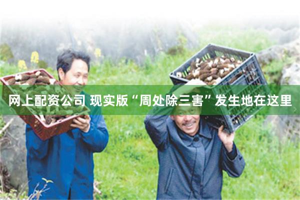 网上配资公司 现实版“周处除三害”发生地在这里