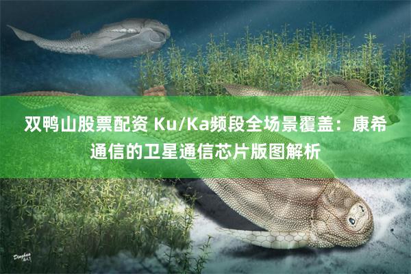 双鸭山股票配资 Ku/Ka频段全场景覆盖：康希通信的卫星通信芯片版图解析