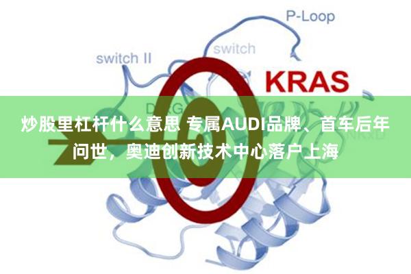 炒股里杠杆什么意思 专属AUDI品牌、首车后年问世，奥迪创新技术中心落户上海