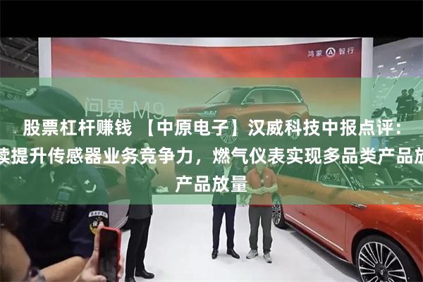 股票杠杆赚钱 【中原电子】汉威科技中报点评：持续提升传感器业务竞争力，燃气仪表实现多品类产品放量