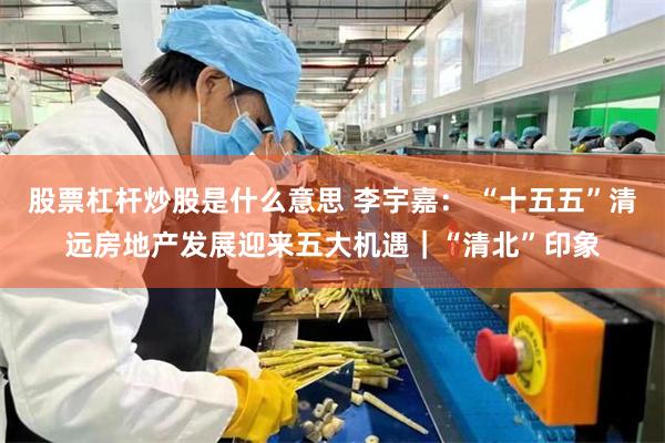 股票杠杆炒股是什么意思 李宇嘉： “十五五”清远房地产发展迎来五大机遇｜“清北”印象
