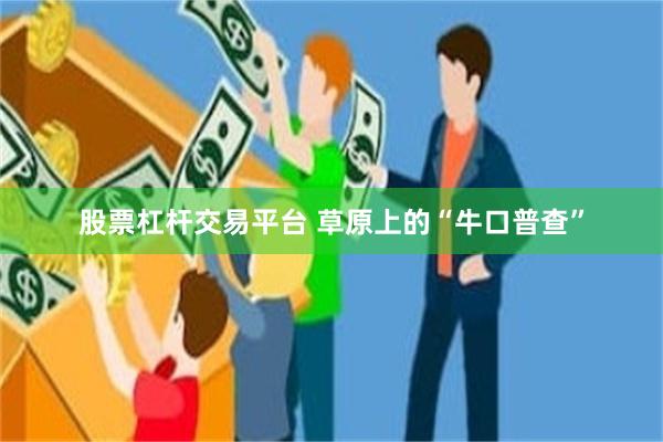 股票杠杆交易平台 草原上的“牛口普查”