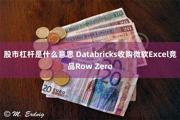 股市杠杆是什么意思 Databricks收购微软Excel竞品Row Zero