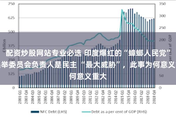 配资炒股网站专业必选 印度爆红的“蟑螂人民党”称选举委员会负责人是民主 “最大威胁”，此事为何意义重大